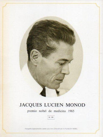 LAMINA V44334: Jacques Lucien Monod