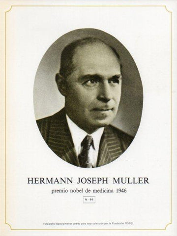LAMINA V44350: Hermann Joseph Muller