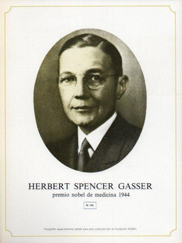LAMINA V44346: Herbert Spencer Gasser