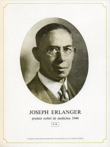 LAMINA V44345: Joseph Erlanger