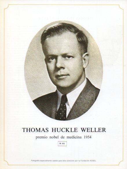 LAMINA V44314: Thomas Huckle Weller