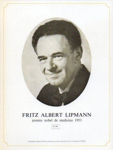 LAMINA V44312: Fritz Albert Lipmann