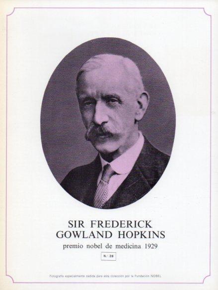LAMINA V44280: Sir Frederick Gowland Hopkins