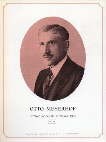 LAMINA V44279: Otto Meyerhof