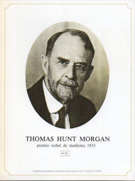 LAMINA V44292: Thomas Hunt Morgan