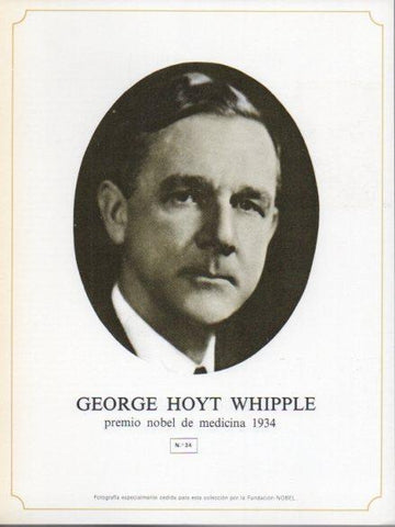 LAMINA V44293: Georgwe Hoyt Whipple
