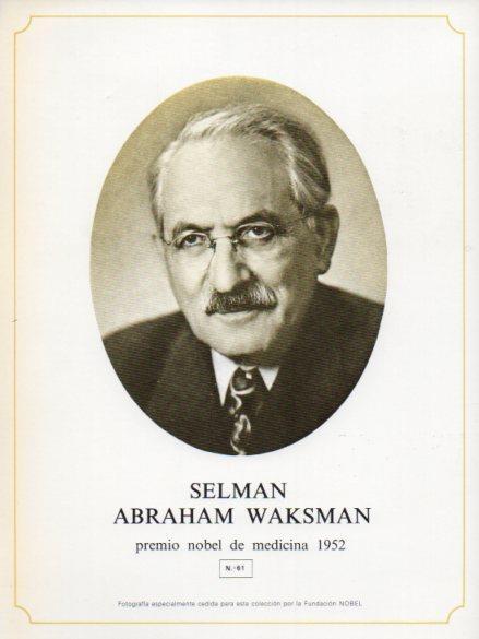 LAMINA V44310: Selman Abraham Waksman