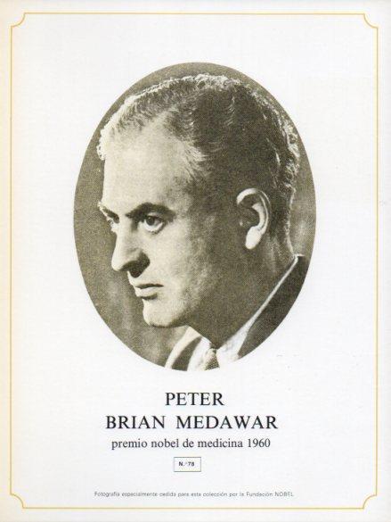 LAMINA V44307: Peter Brian Medawar