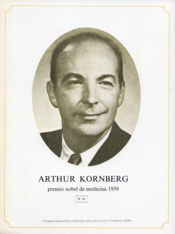 LAMINA V44305: Arthur Kornberg