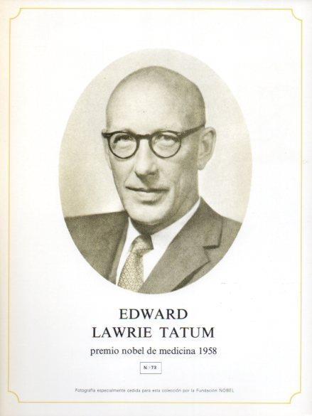 LAMINA V44302: Edward Lawrie Tatum