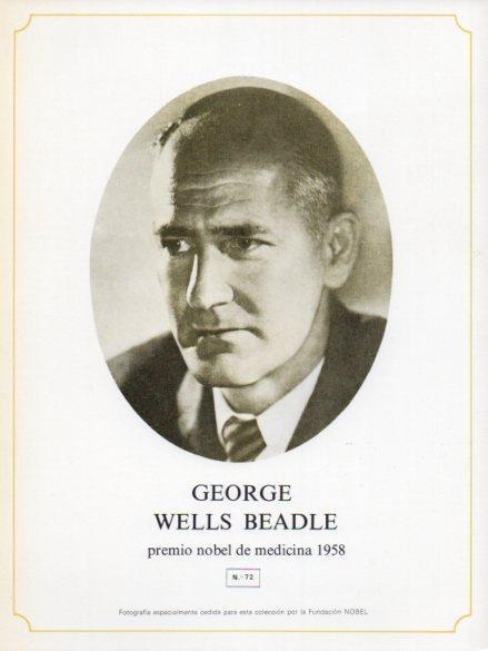 LAMINA V44301: George Wells Beadle
