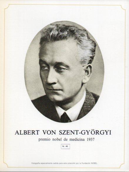 LAMINA V44299: Albert Von Szent-Gyorgyi