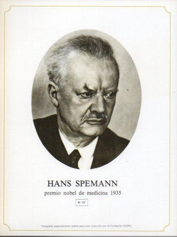 LAMINA V44296: Hans Spemann