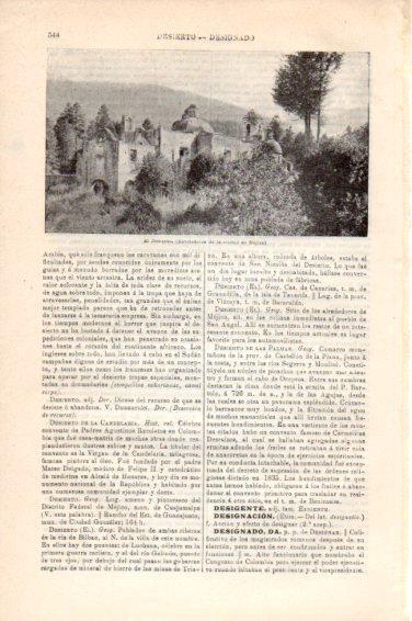 LAMINA V44884: El Desierto en Ciudad de Mejico