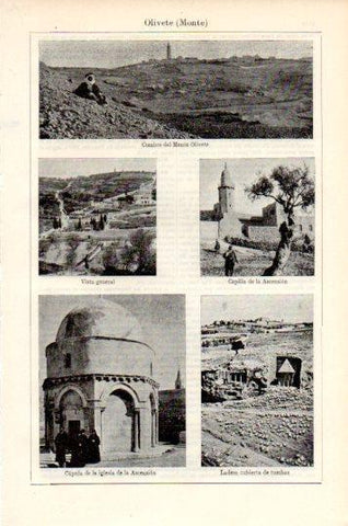 LAMINA V44816: Vistas de Monte Olivete