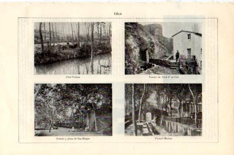 LAMINA V44824: Vistas de Olot