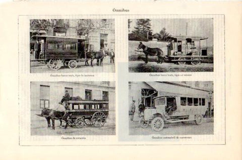LAMINA V44829: Omnibus