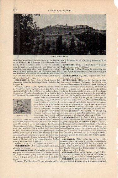 LAMINA V45023: Vista general de Citerna, Italia