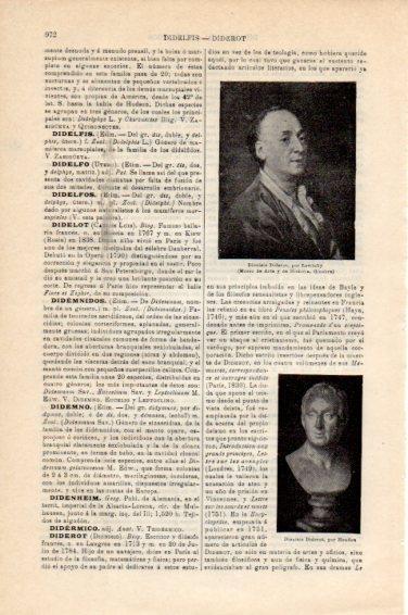 LAMINA V44929: Dionisio Diderot
