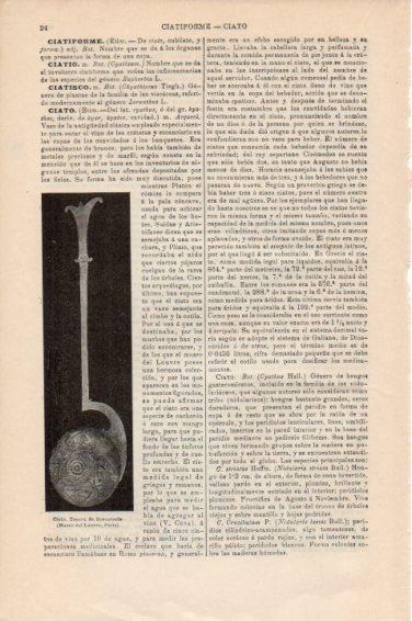 LAMINA V44979: Cinto, Tesoro de Boscoreale
