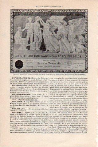 LAMINA V44970: Diploma medalla de oro a la casa Espasa Exposicion  Bruselas 1919