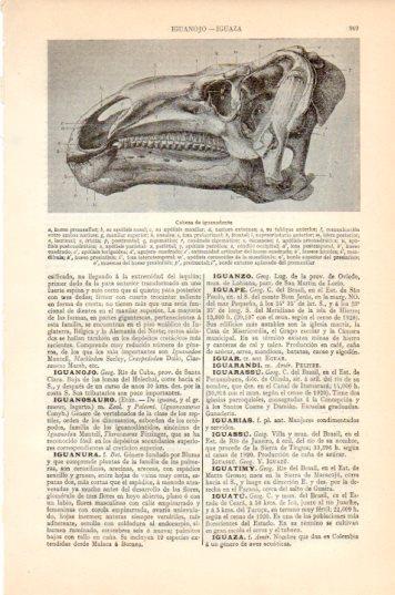 LAMINA V44601: Cabeza de Iguanodonte