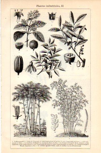 LAMINA V44640: Plantas industriales II