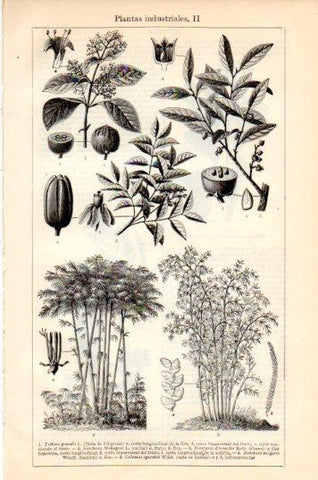 LAMINA V44640: Plantas industriales II