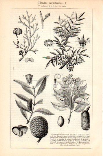 LAMINA V44639: Plantas industriales I