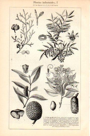LAMINA V44639: Plantas industriales I