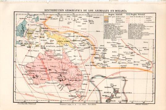 LAMINA V44754: Mapa distribucion de los animales en Oceania