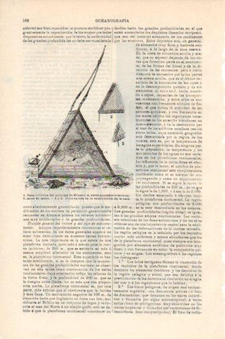 LAMINA V44761: Nasa triedrica del principe de Monaco