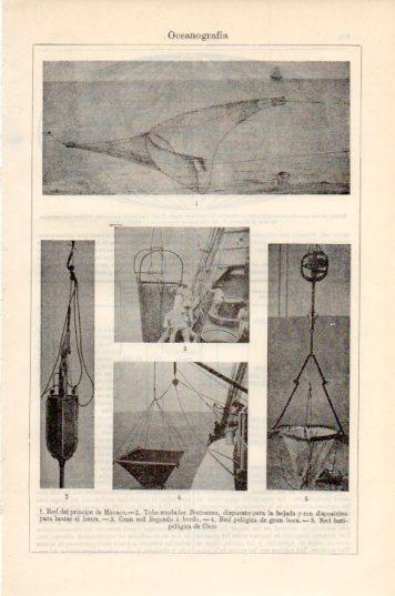 LAMINA V44762: Oceanografia red del principe de Monaco