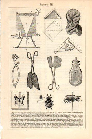 LAMINA V44681: Aparatos Berlese para insectos