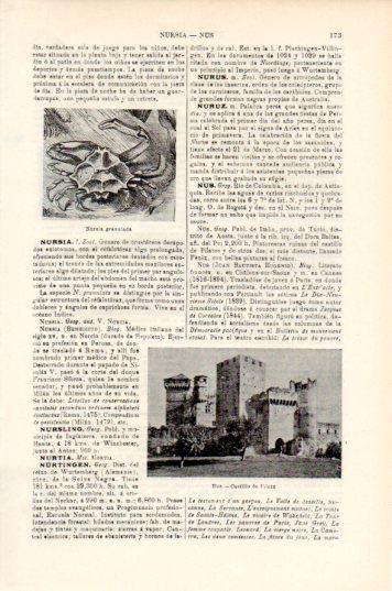 LAMINA V44705: Castillo de Fenix en Nus