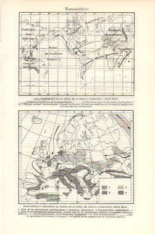 LAMINA V44690: Mapas periodo Nummulitico