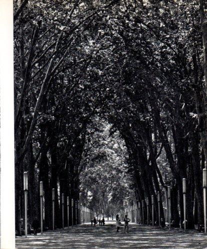 LAMINA V45400: Passeig de la Devesa de Girona