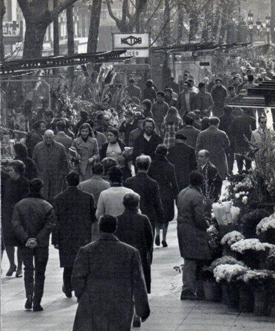 LAMINA V45379: Les Rambles, Barcelona