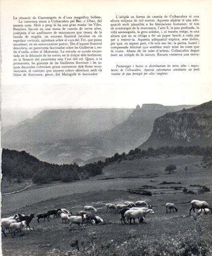 LAMINA V45434: Pasturatges de Collsacabra