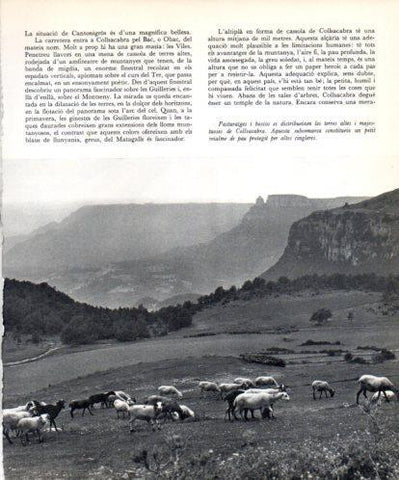 LAMINA V45434: Pasturatges de Collsacabra