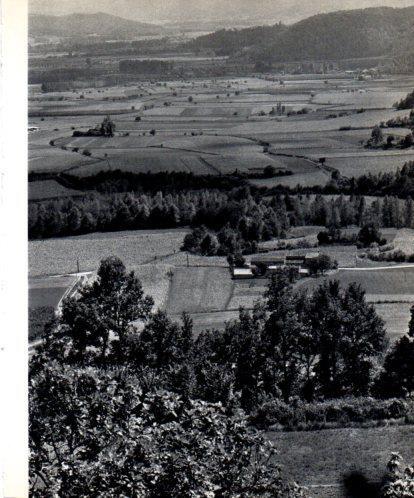 LAMINA V45419: Paisatge d'Olot