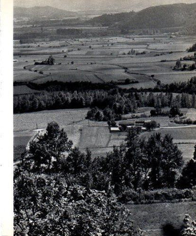 LAMINA V45419: Paisatge d'Olot