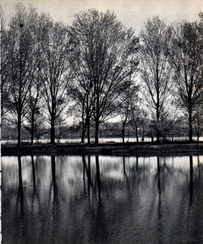LAMINA V45415: Estany de Banyoles vista parcial