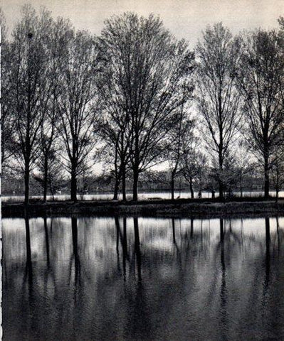 LAMINA V45415: Estany de Banyoles vista parcial