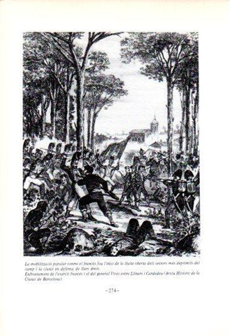 LAMINA V45341: Enfrontament de l'exercit frances i el del general Vives