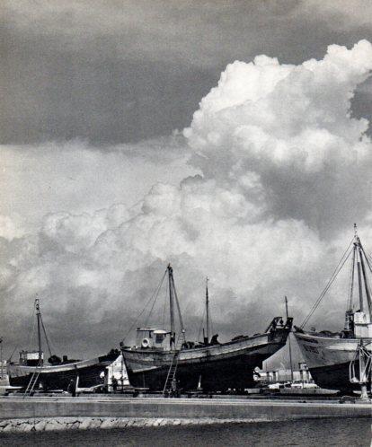 LAMINA V45558: Barques al port de Sant Carles de la Rapita