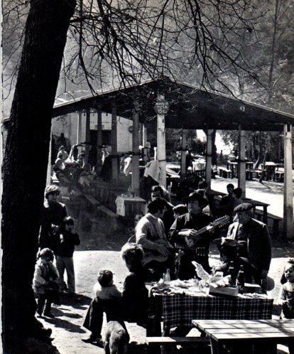 LAMINA V45454: Berenador a Les Planes, Sant Cugat del Valles