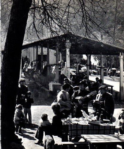 LAMINA V45454: Berenador a Les Planes, Sant Cugat del Valles
