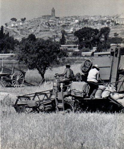 LAMINA V45487: Vista de Cervera