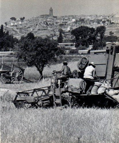 LAMINA V45487: Vista de Cervera